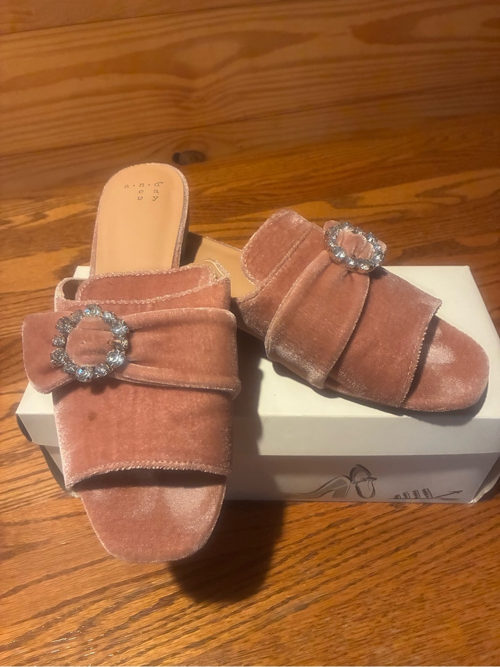 A new day-Velvet Slide Mules with Crystal Buckle - Rose
